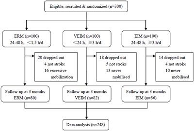 High Intensity Physical Rehabilitation Later Than 24 h Post Stroke Is Beneficial in Patients: A Pilot Randomized Controlled Trial (RCT) Study in Mild to Moderate Ischemic Stroke